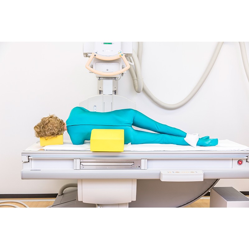 Erler-Zimmer X-Ray Positioning Manikin - LabWorld.co.uk